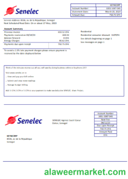 Senelec Agence Sacre Coeur Company electricity utility business bill, SCR